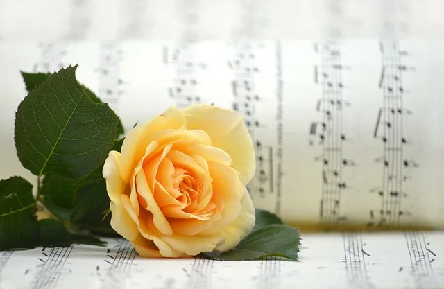 music theory for beginners