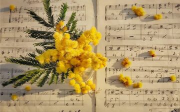 Sheet music with a yellow flower on top