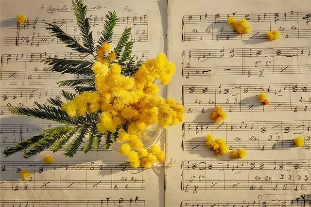 Sheet music with a yellow flower on top