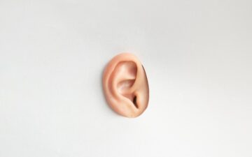 Ear peaking out of a white wall.