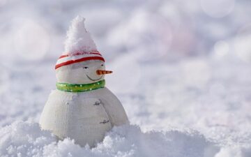 snowman sitting in a bed of snow